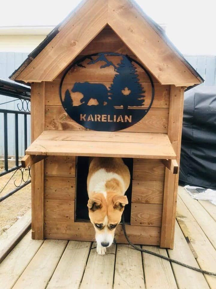 Tamara in her Bear Dog Palace. She is my sidekick as she is trained in deterring different predators to keep us safe when doing certain wildlife sweeps.