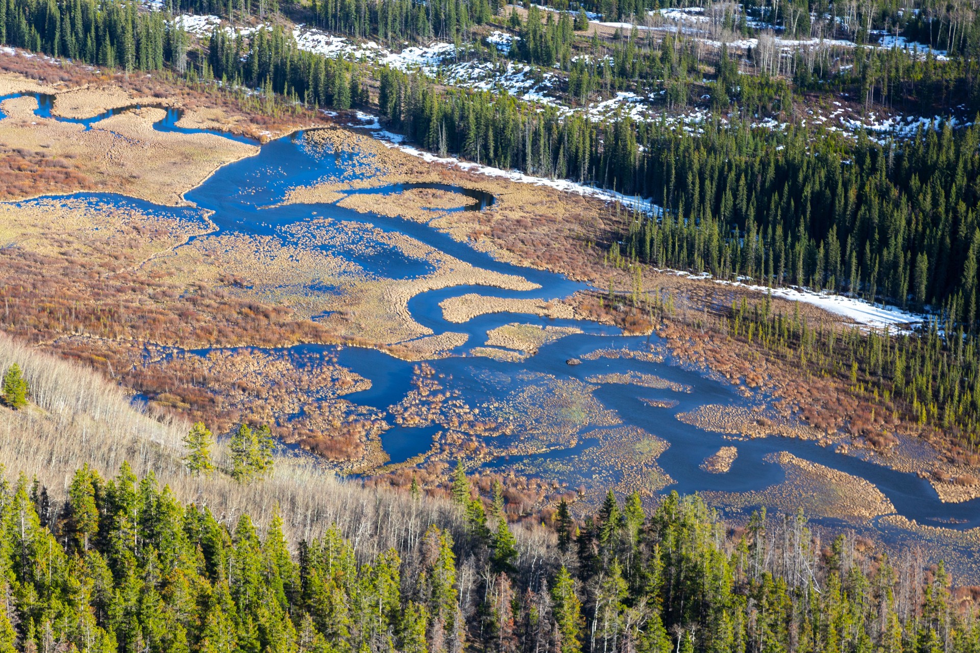Braided Sibbald River Flats Green Marshland Aerial Landscape View