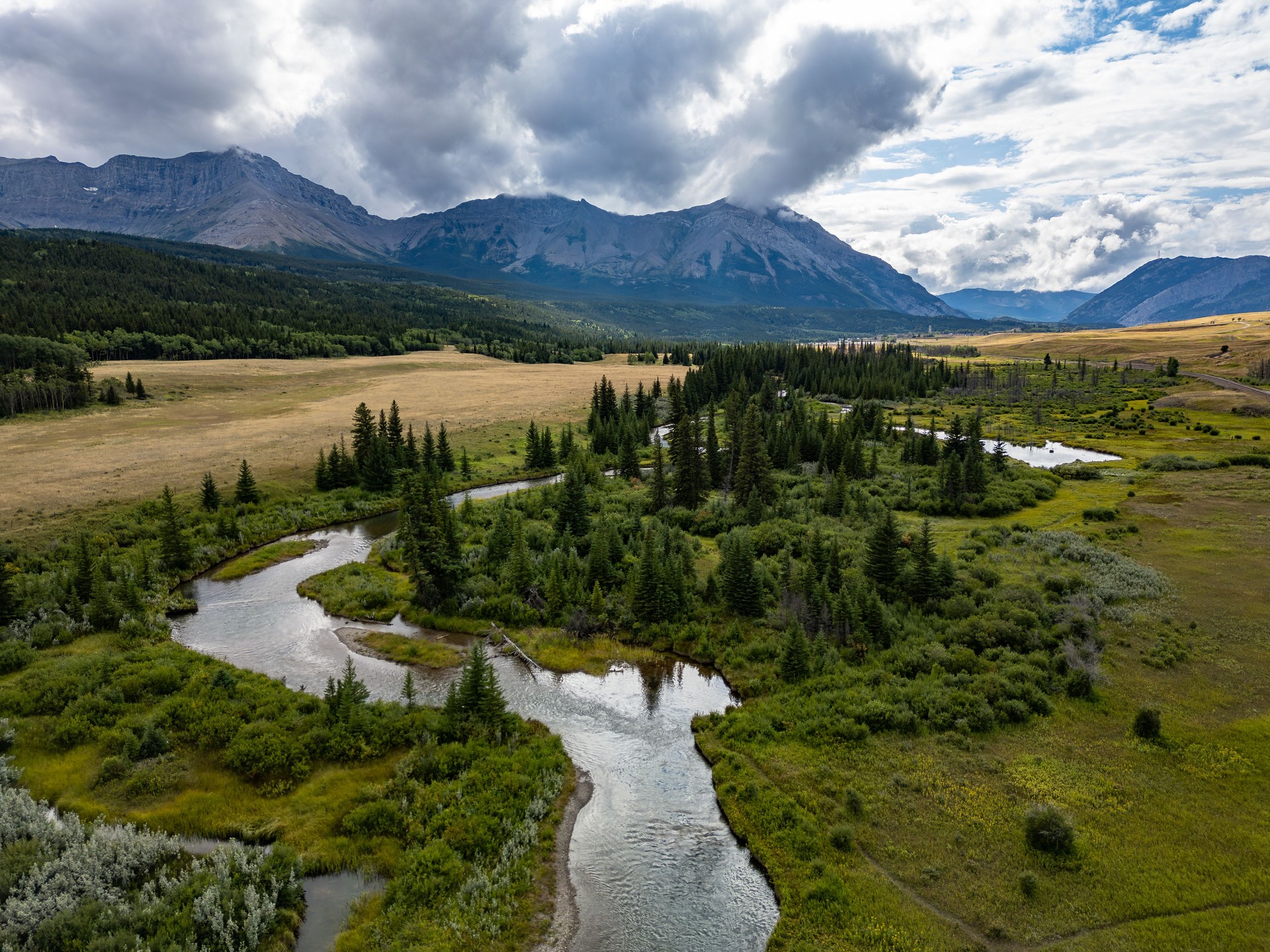Scenic River Flowing Through Alberta Mountain Landscape